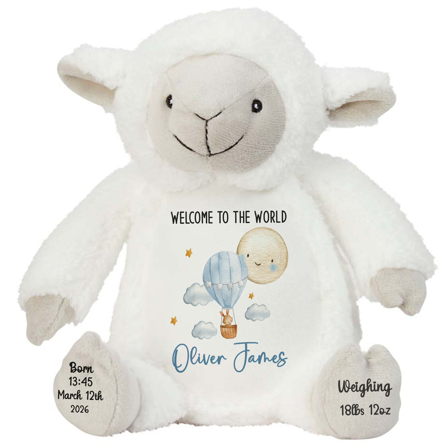 Blue Balloon & Moon New Baby Boy Personalised Teddy Bear
