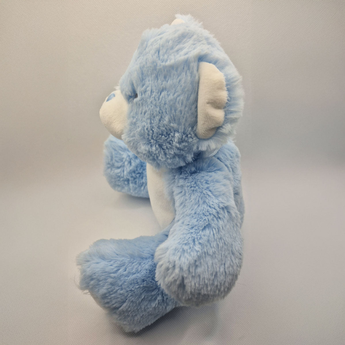 Design a Personalised Blue Teddy – Add Your Photo, Name or Message