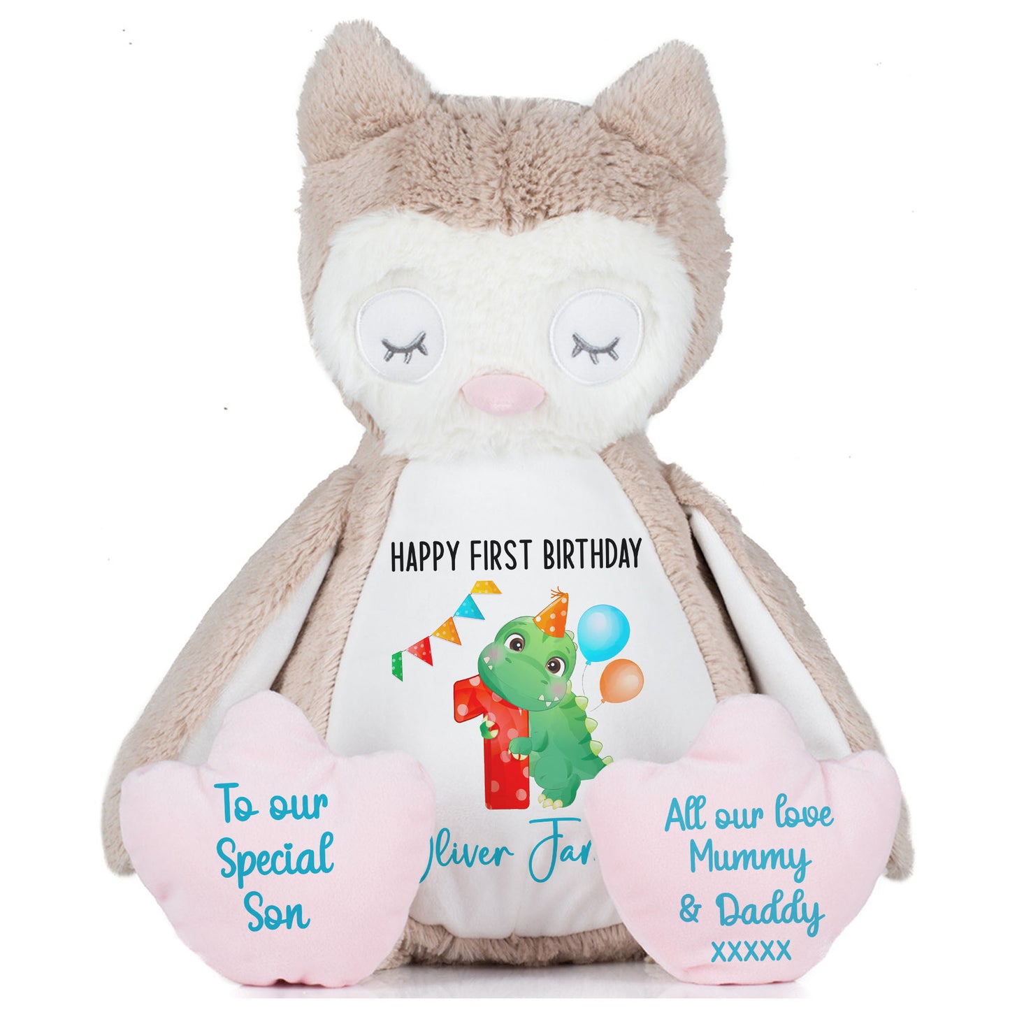 1st birthday dino party personalised teddy bears Owl