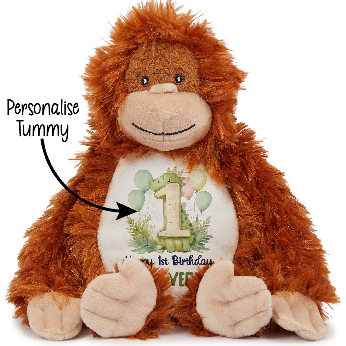 1st Birthday Green Dinosaur & Balloons Personalised Teddy Bear
