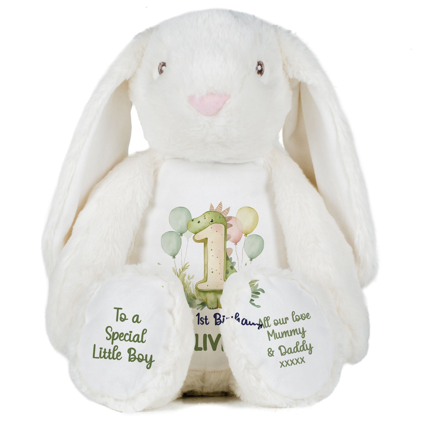 1st Birthday Green Dinosaur & Balloons Personalised Teddy Bear