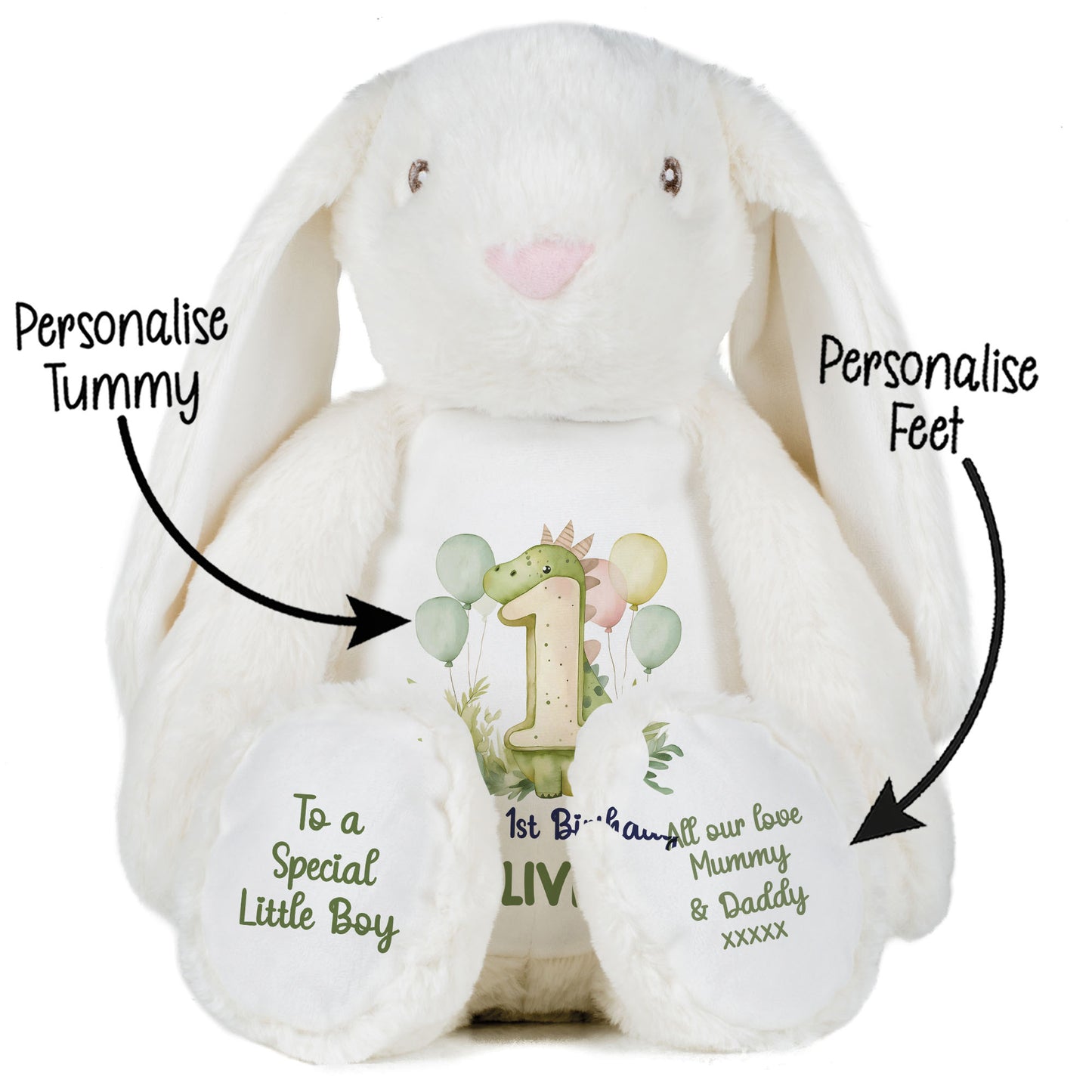 1st Birthday Green Dinosaur & Balloons Personalised Teddy Bear