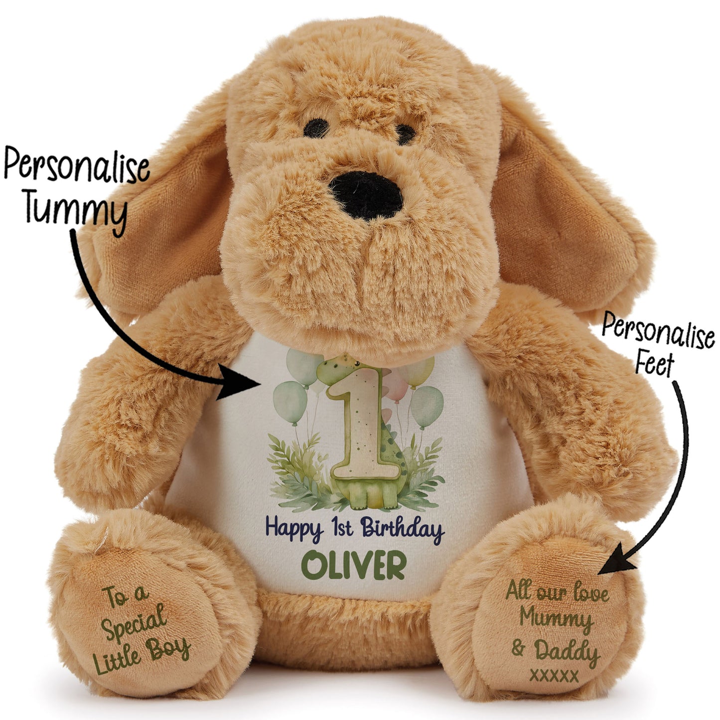 1st Birthday Green Dinosaur & Balloons Personalised Teddy Bear