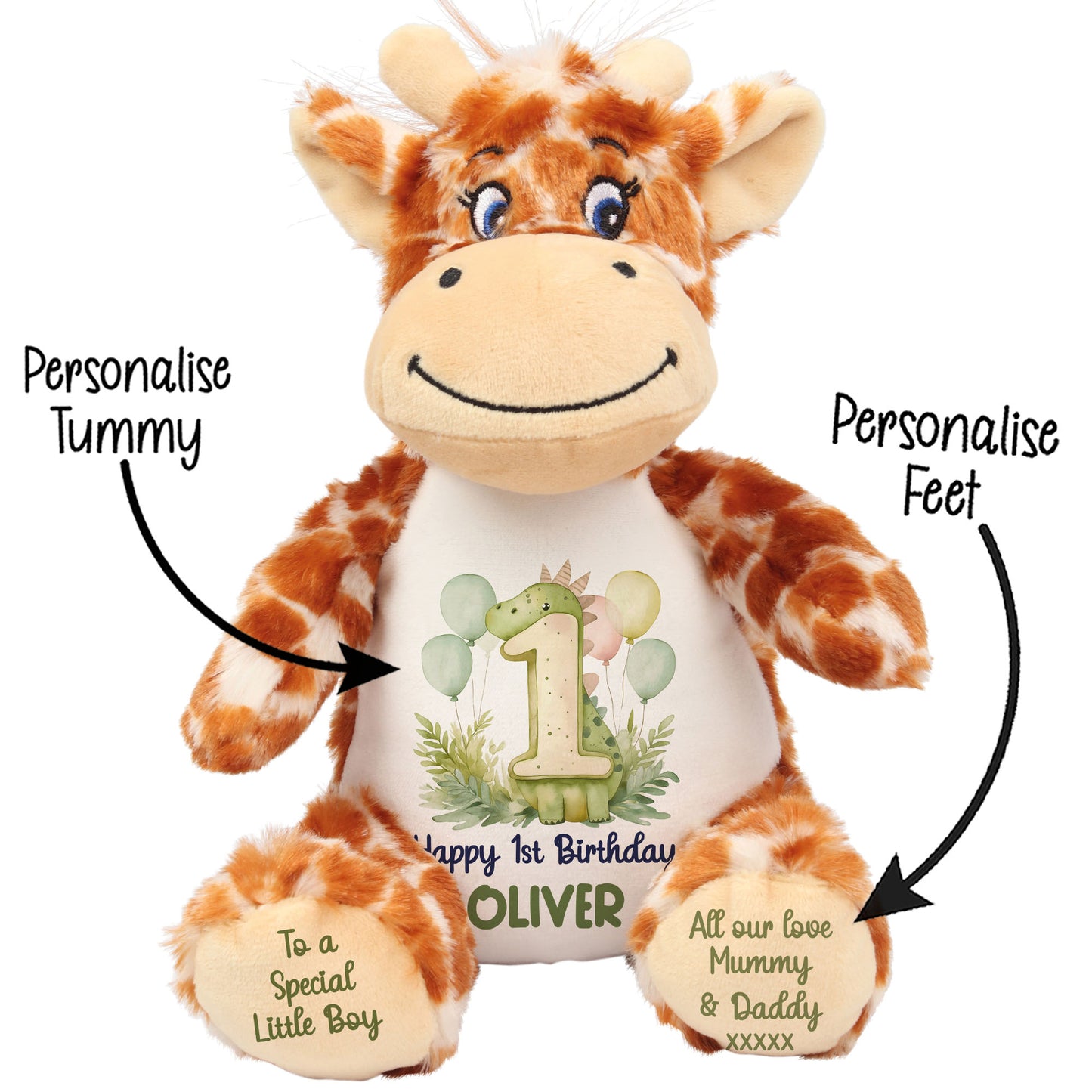 1st Birthday Green Dinosaur & Balloons Personalised Teddy Bear