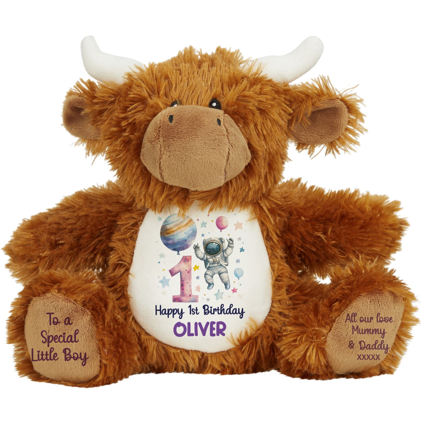 1st Birthday Spaceman Party Personalised Teddy Bear