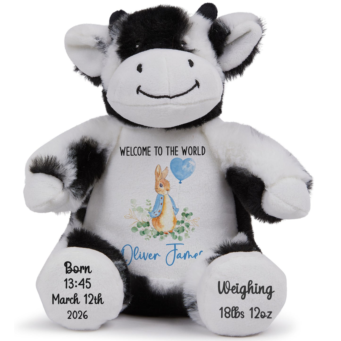 Bunny Blue Balloon New Baby Personalised Teddy Bear