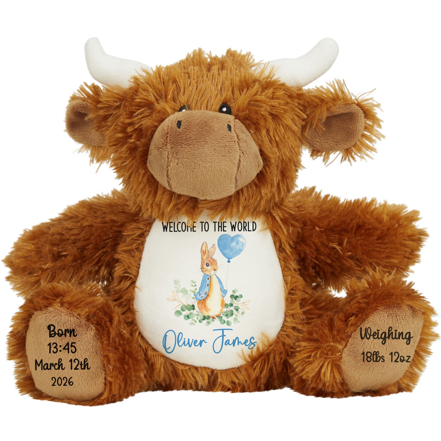 Bunny Blue Balloon New Baby Personalised Teddy Bear