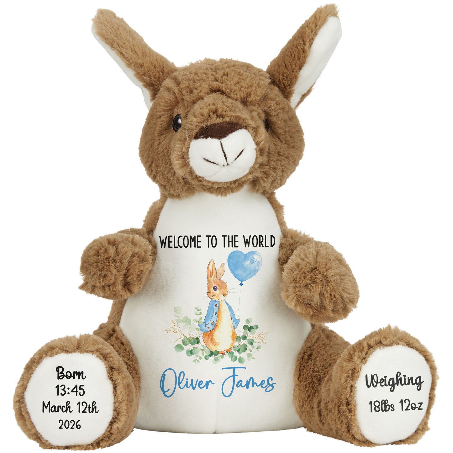 Bunny Blue Balloon New Baby Personalised Teddy Bear