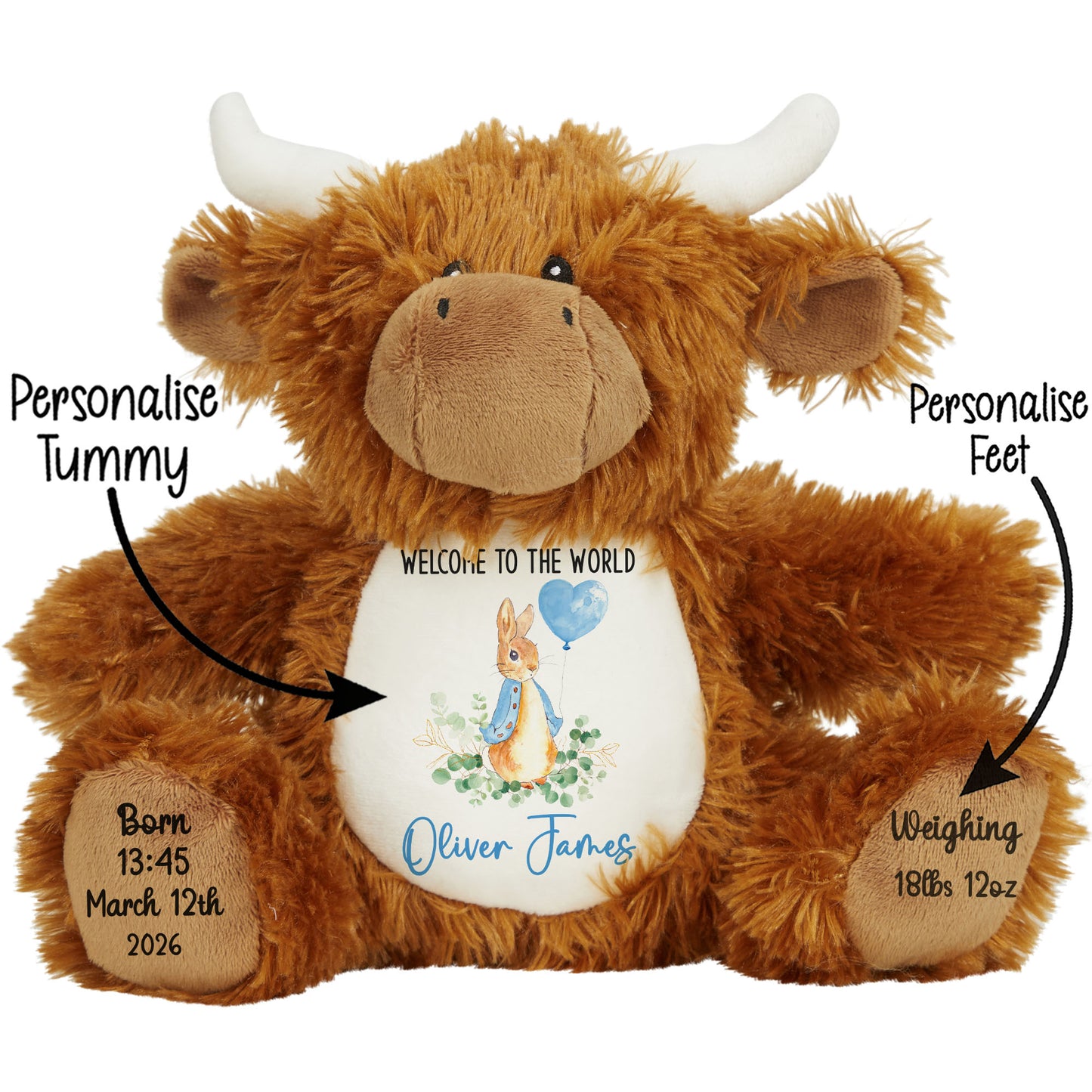 STOCK-HIGHLAND-COW