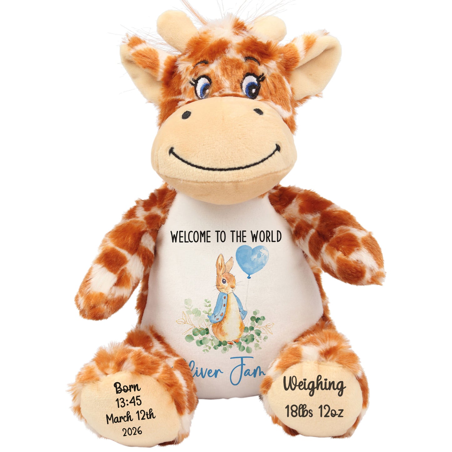 Bunny Blue Balloon New Baby Personalised Teddy Bear
