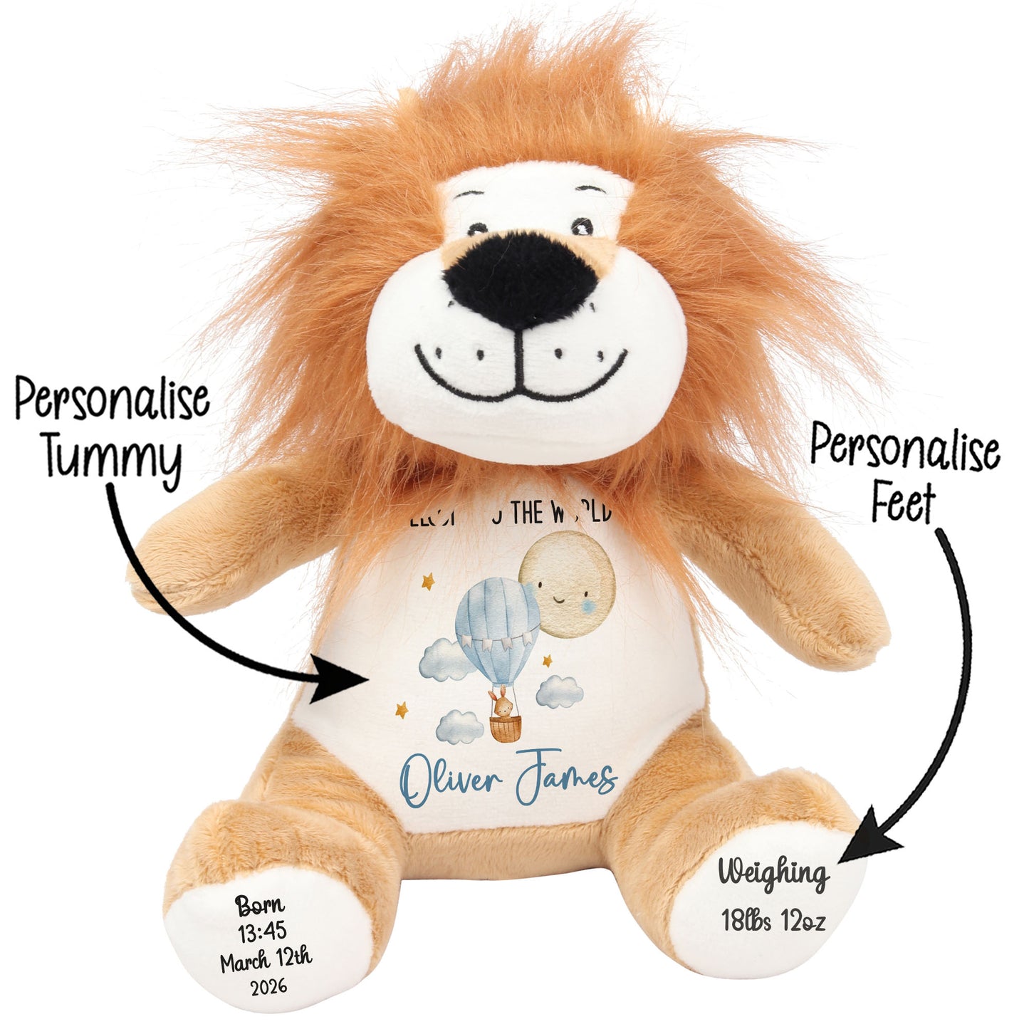 Plush lion toy with customizable features on a white background STOCK-LION