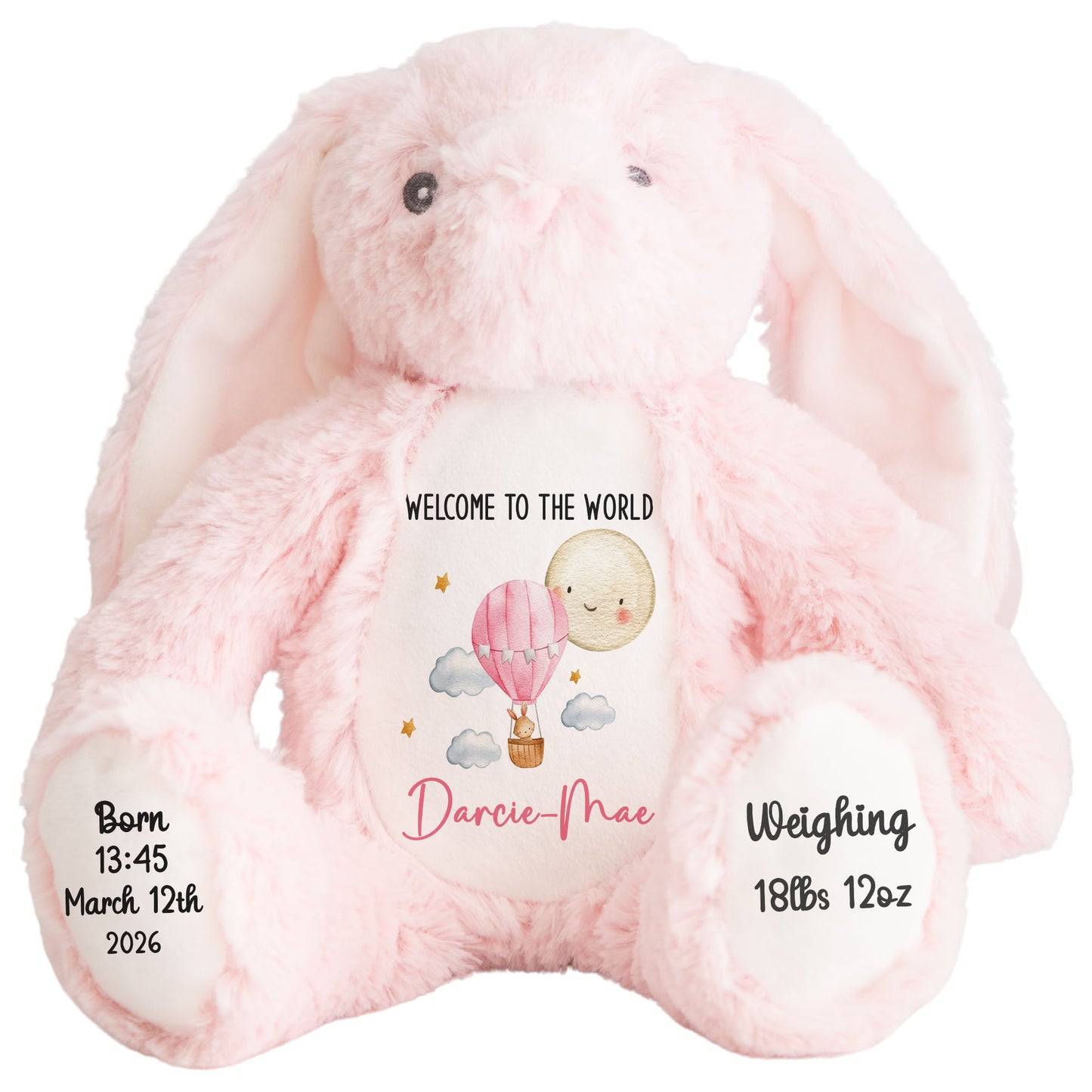 Pink Balloon & Moon New Baby Girl Personalised Teddy Bear