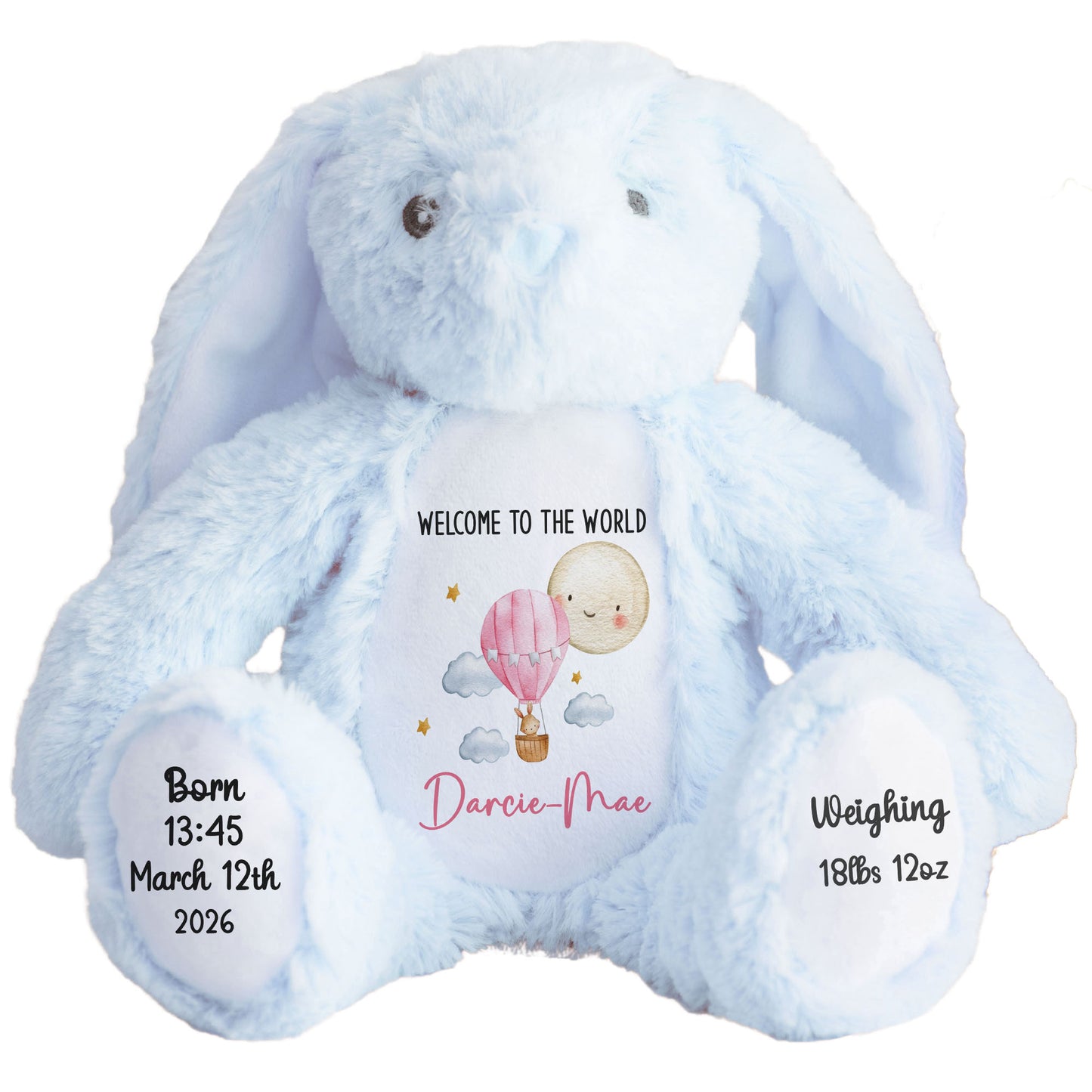 Pink Balloon & Moon New Baby Girl Personalised Teddy Bear