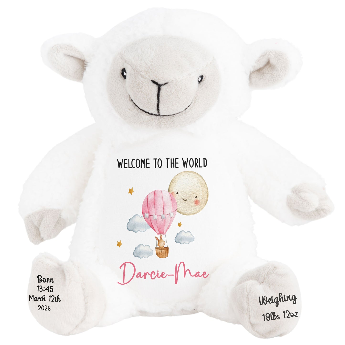 Pink Balloon & Moon New Baby Girl Personalised Teddy Bear