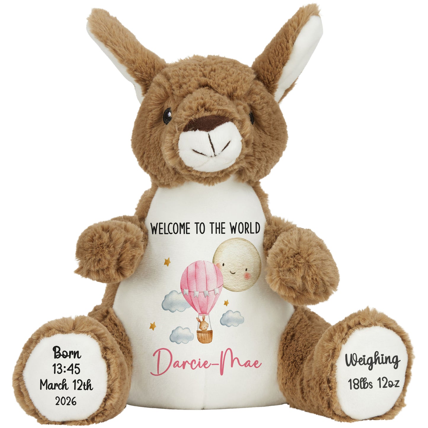 Pink Balloon & Moon New Baby Girl Personalised Teddy Bear