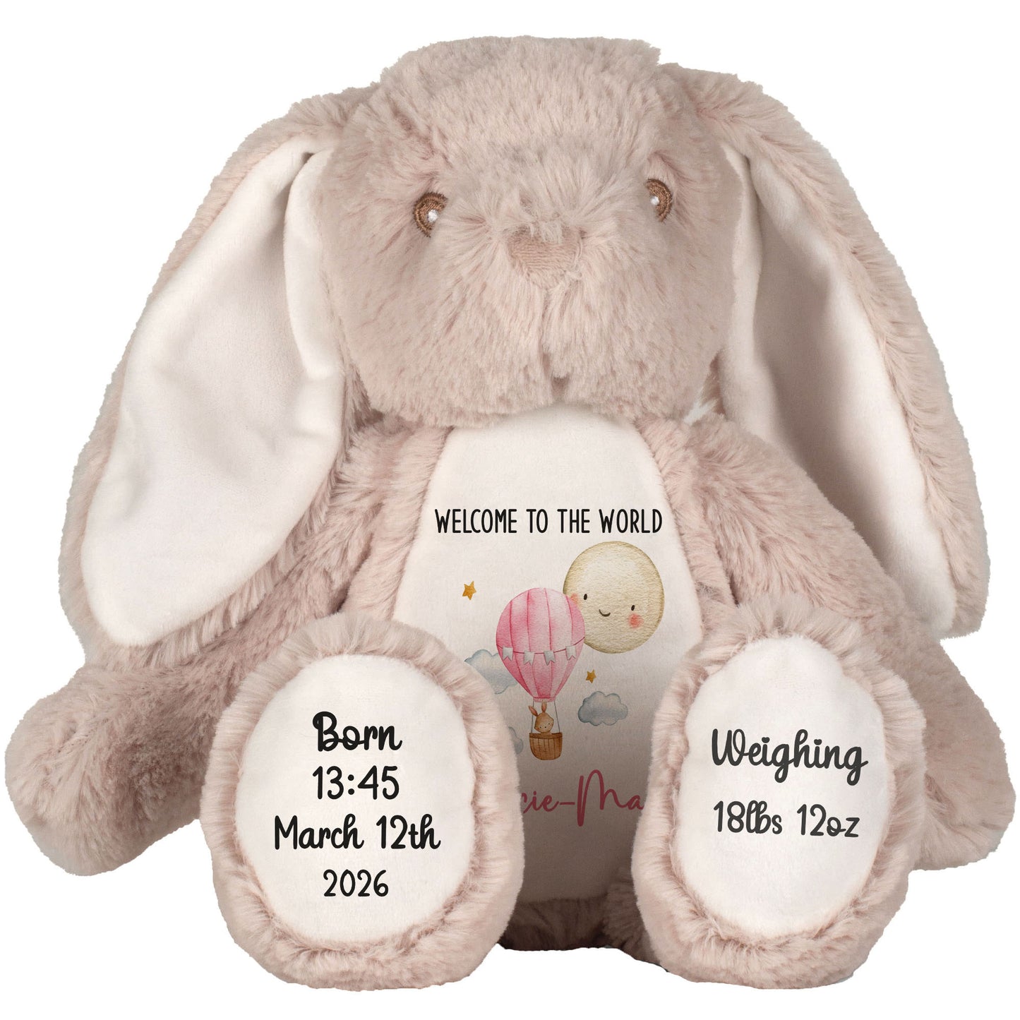 Pink Balloon & Moon New Baby Girl Personalised Teddy Bear