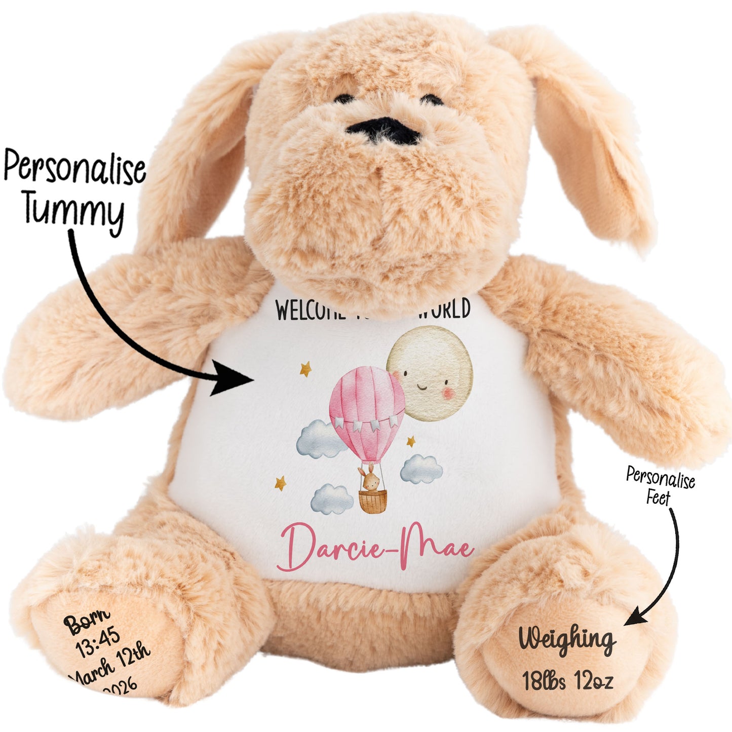 Beige plush bunny with a customizable tummy on a white background STOCK-DOG