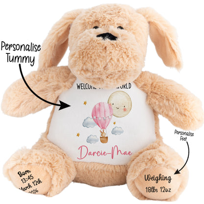 Beige plush bunny with a customizable tummy on a white background STOCK-DOG