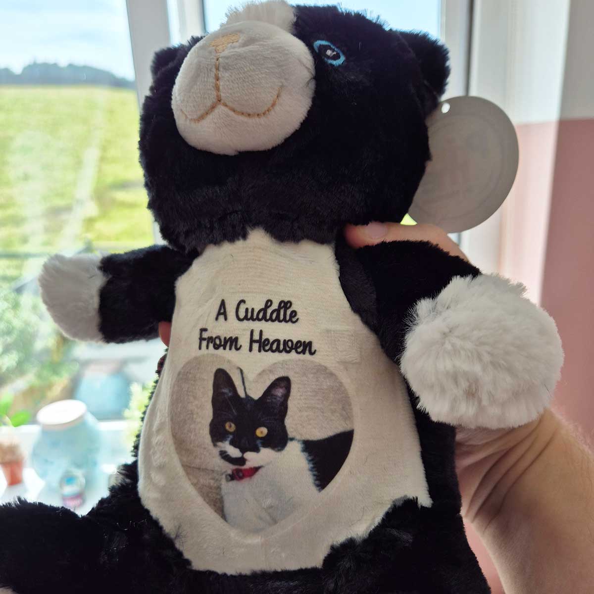 Design a Personalised Cat Teddy – Add Your Photo, Name or Message