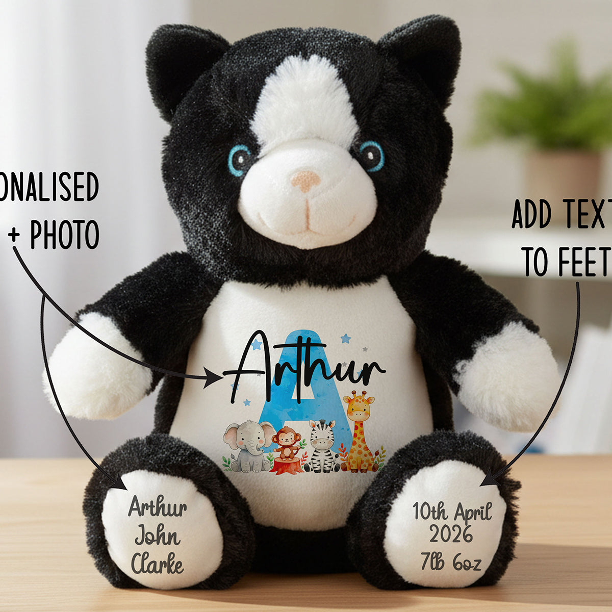 cat teddy personalised teddy bear
