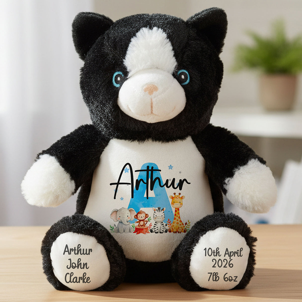 cat teddy personalised teddy bear