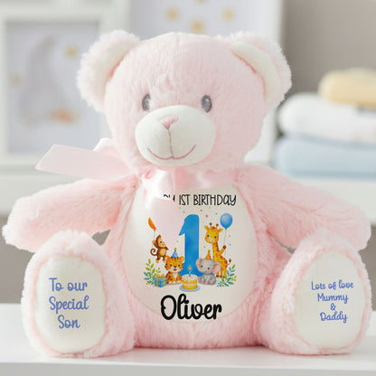 pink teddy bear personalised teddy bear