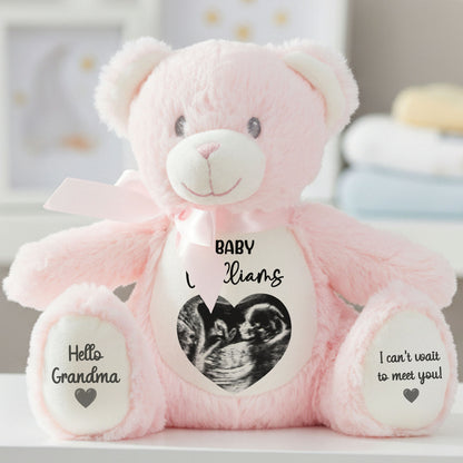 pink teddy bear personalised teddy bear