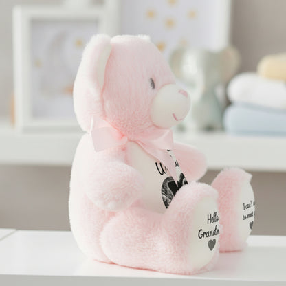 pink teddy bear personalised teddy bear