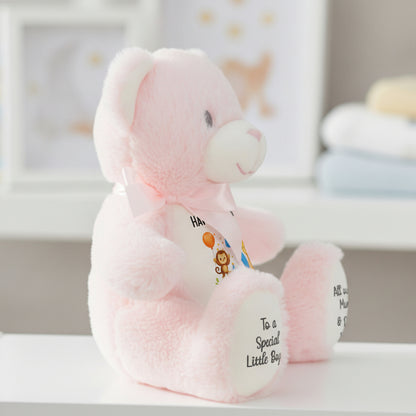 pink teddy bear personalised teddy bear