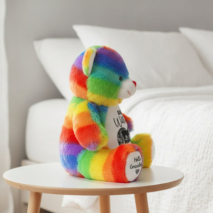 rainbow teddy bear personalised teddy bear
