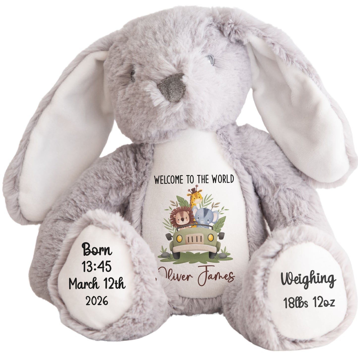 Baby Animal Safari Car New Baby Personalised Teddy Bear