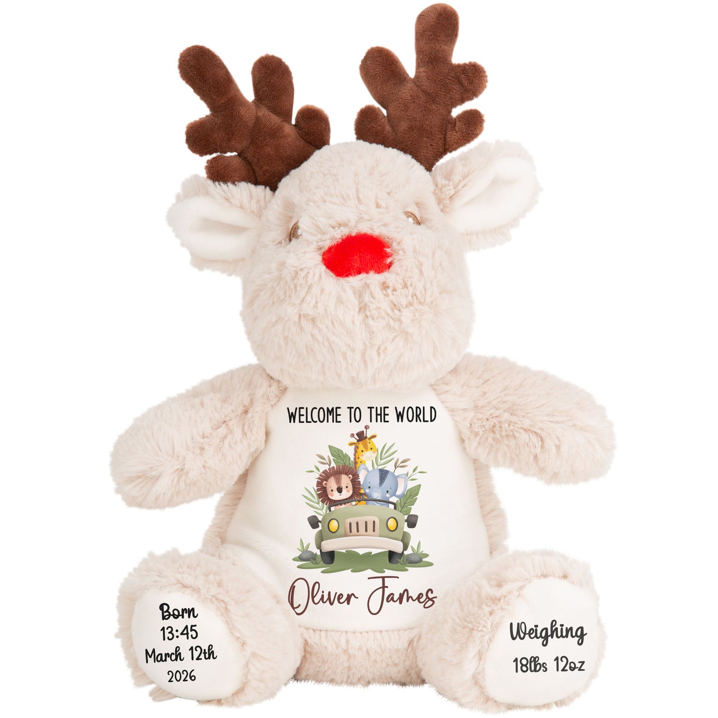 Baby Animal Safari Car New Baby Personalised Teddy Bear