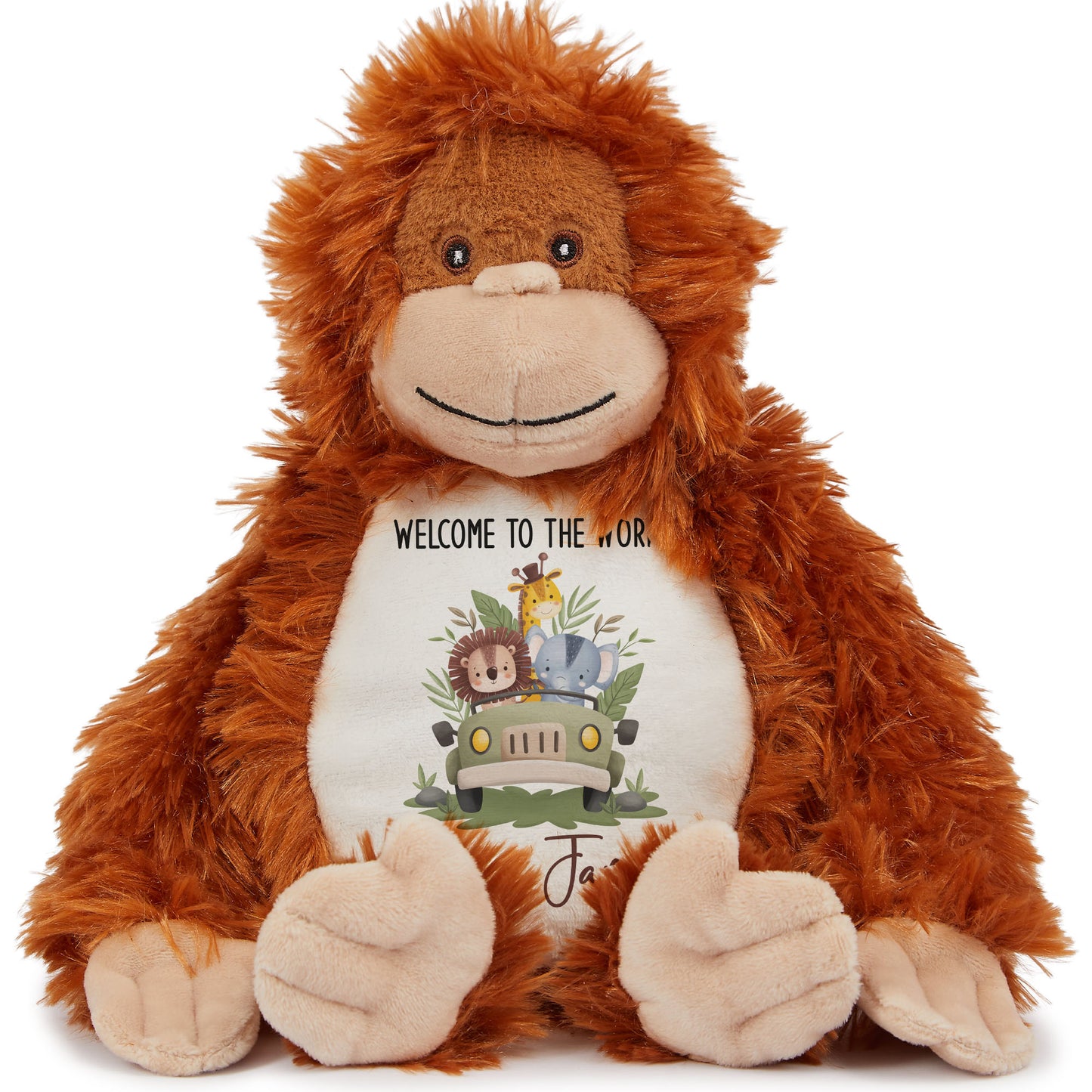 Baby Animal Safari Car New Baby Personalised Teddy Bear