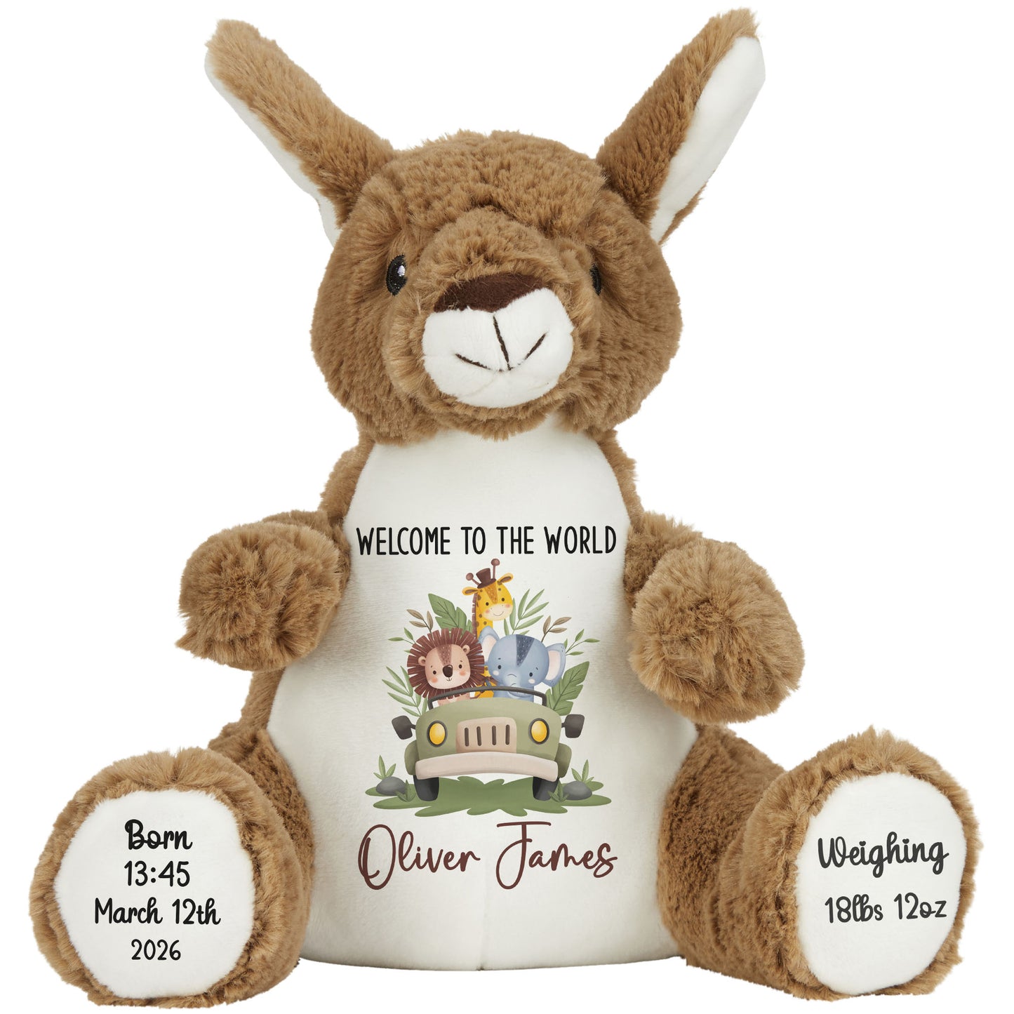 Baby Animal Safari Car New Baby Personalised Teddy Bear