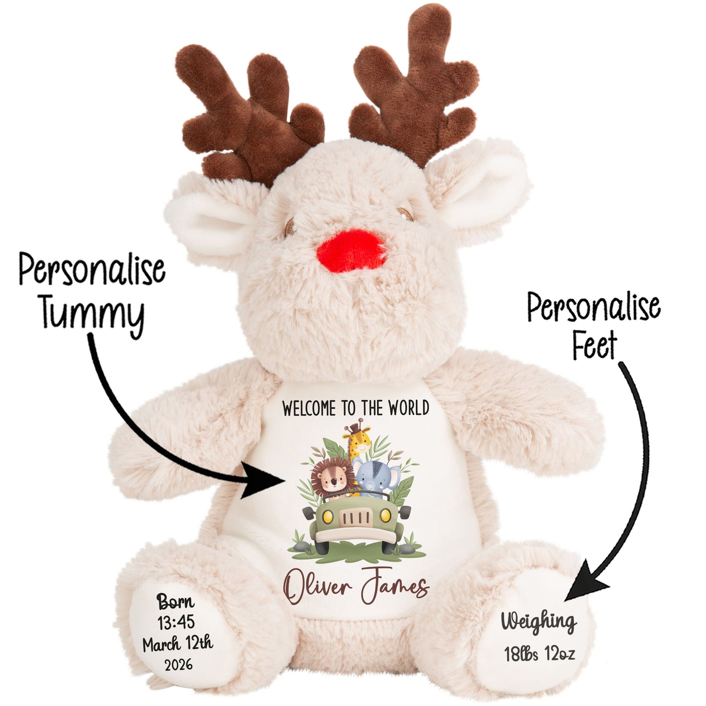 STOCK-REINDEER