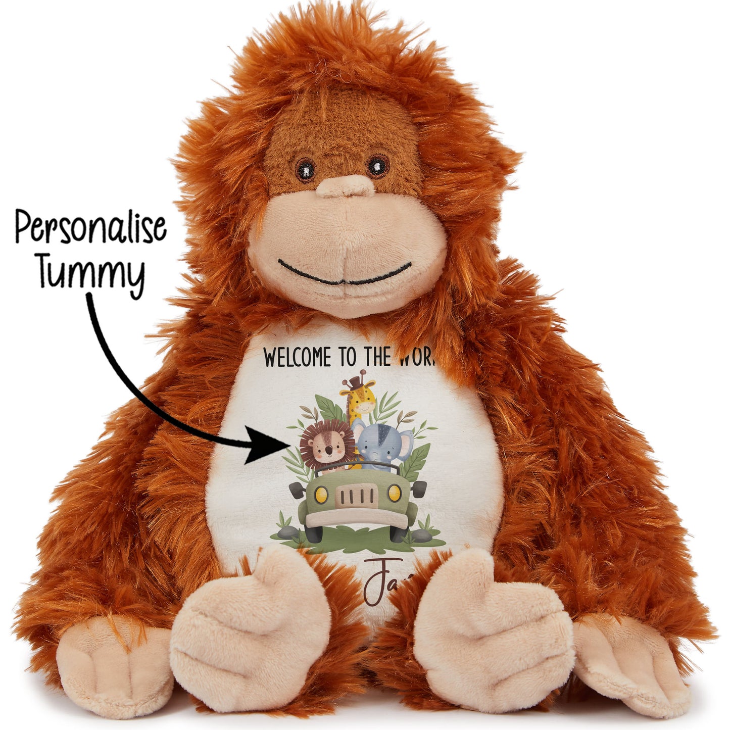 STOCK-ORANGUTAN