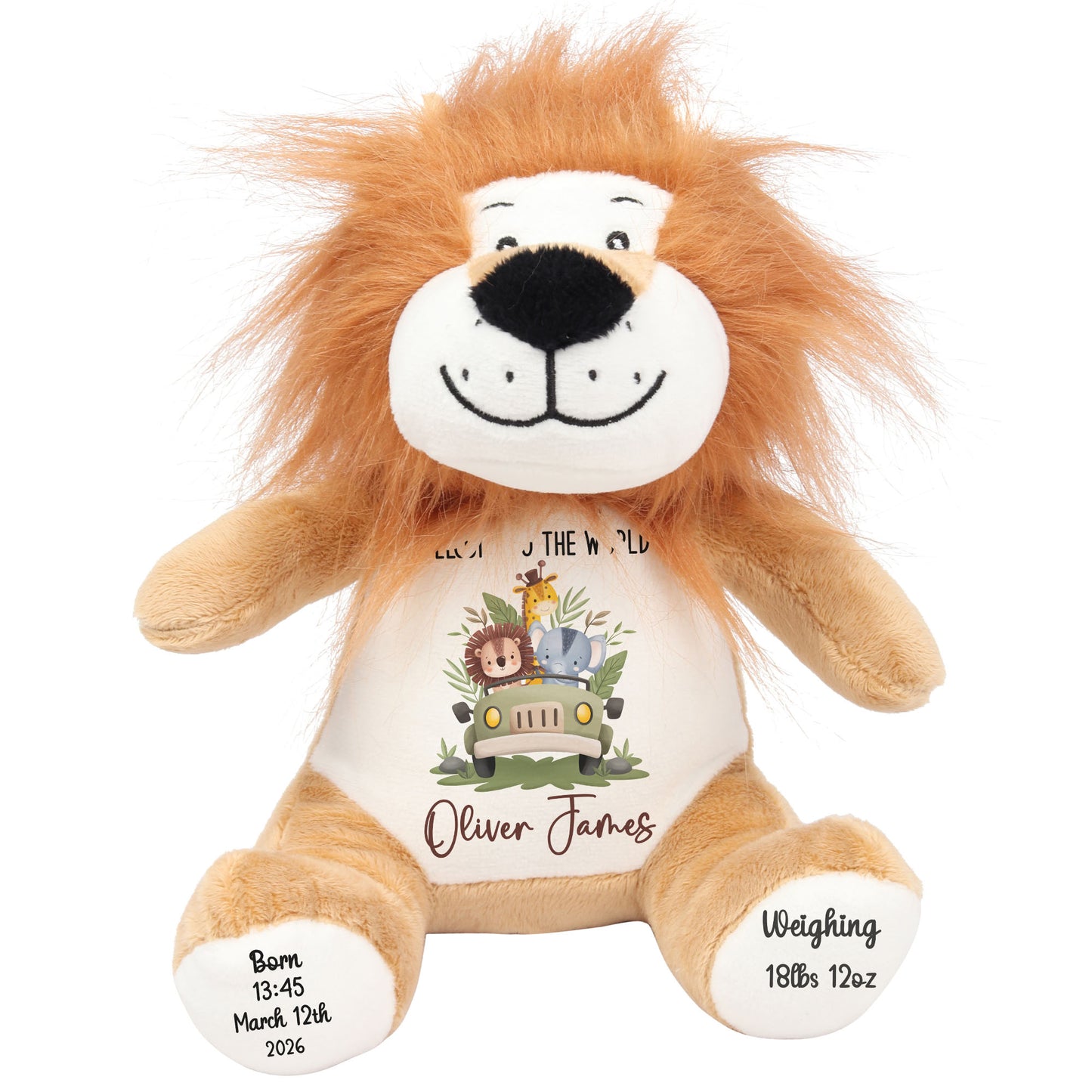 Baby Animal Safari Car New Baby Personalised Teddy Bear