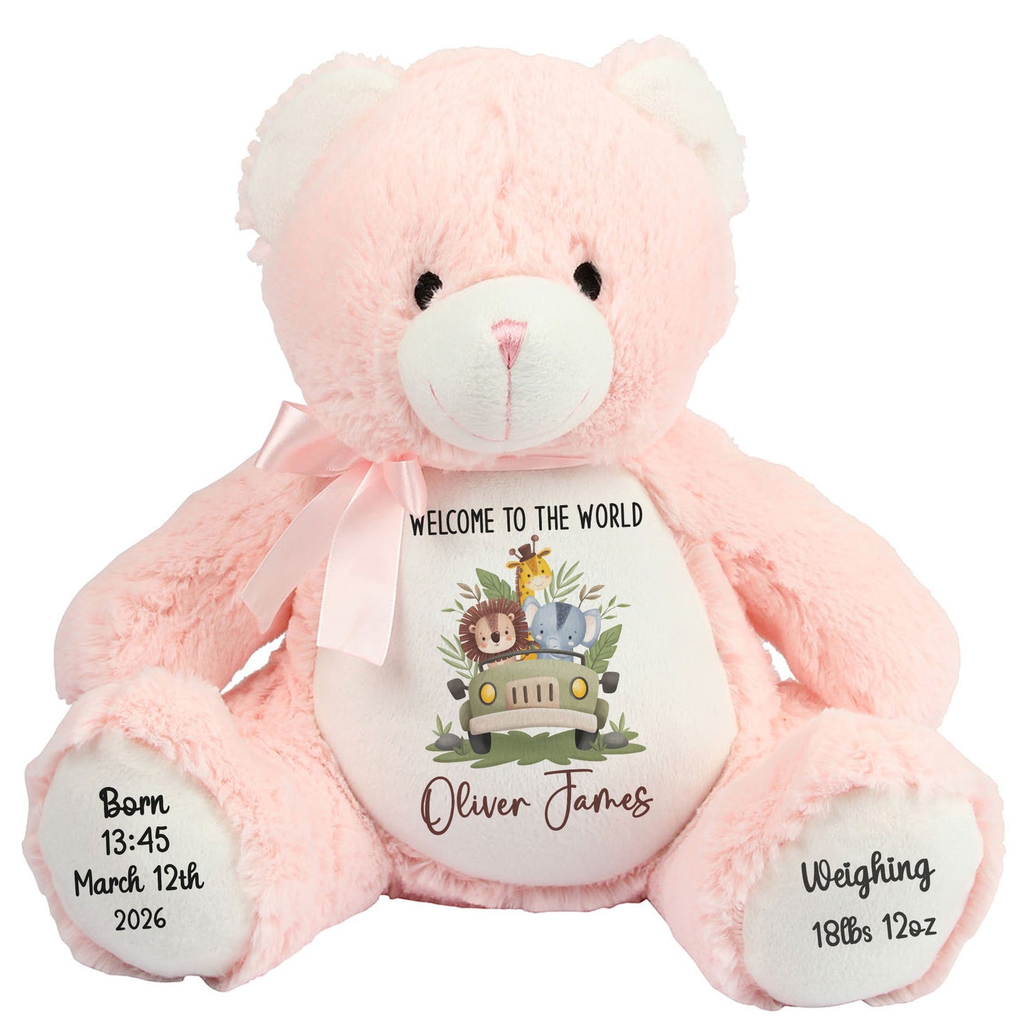 Baby Animal Safari Car New Baby Personalised Teddy Bear