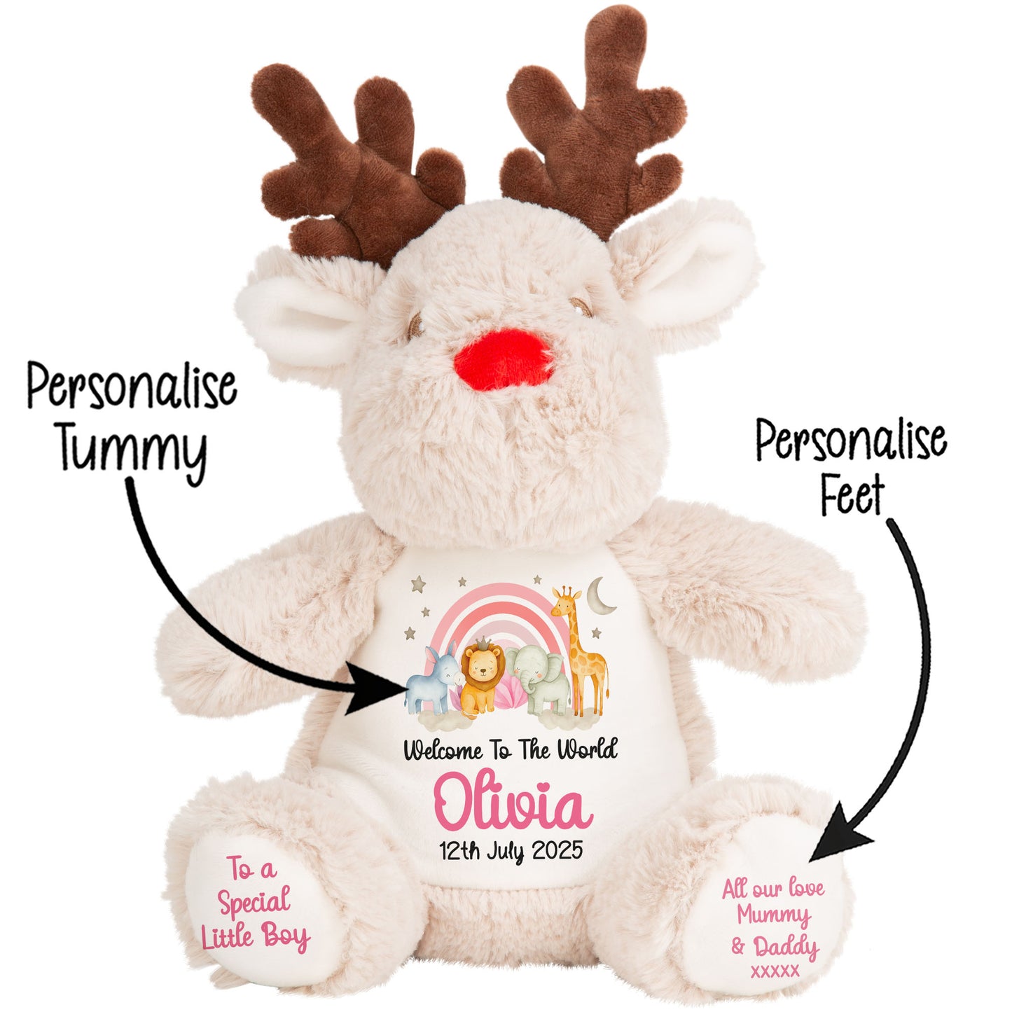New Baby 'Welcome to The World' Pink Safari Friends Personalised Teddy Bears
