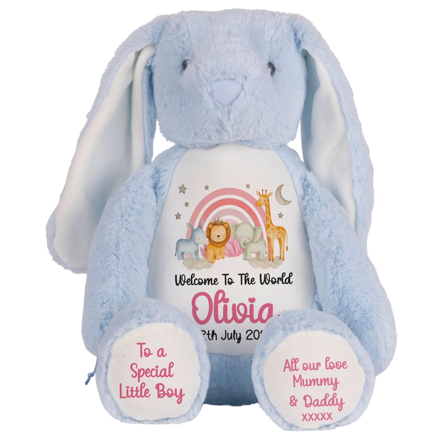 New Baby 'Welcome to The World' Pink Safari Friends Personalised Teddy Bears