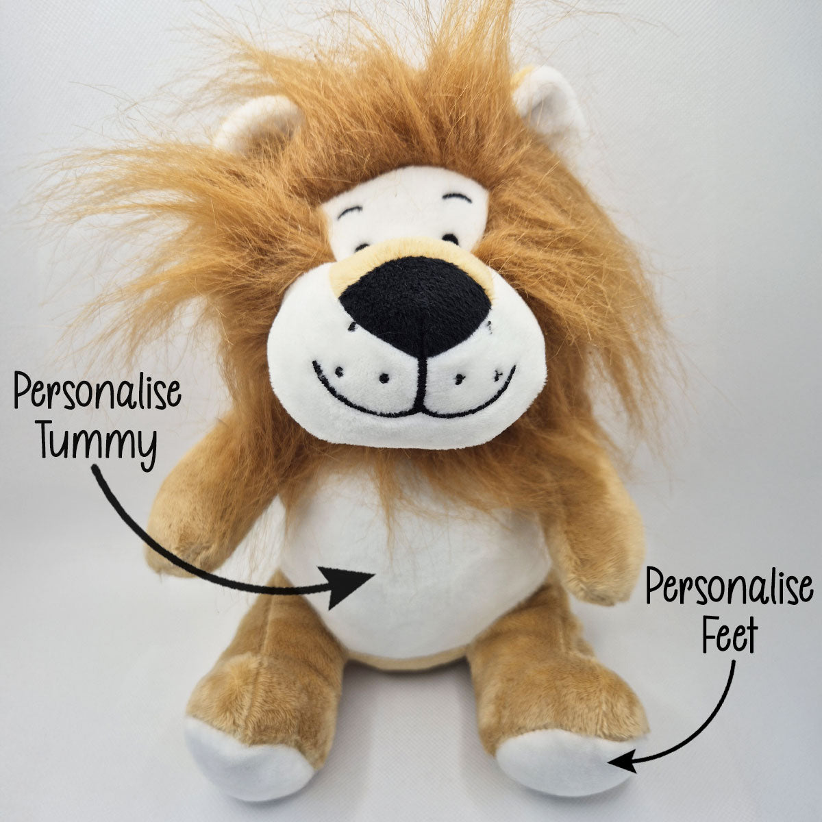 Plush lion teddy with text indicating areas to personalise on a white background