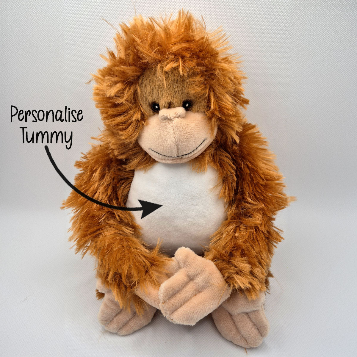Plush monkey teddy with text indicating 'Personalise Tummy' on a white background