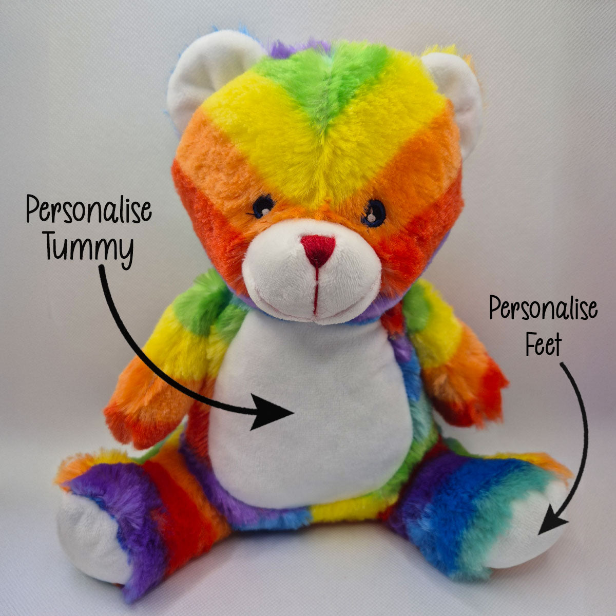 Colourful rainbow teddy bear with text indicating areas to personalise on a white background