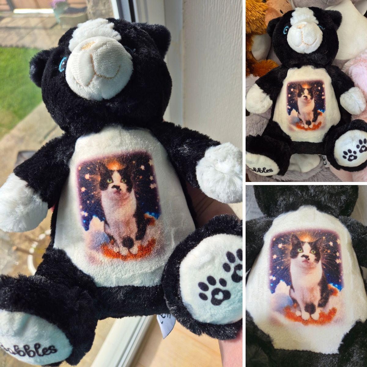 Design a Personalised Cat Teddy – Add Your Photo, Name or Message