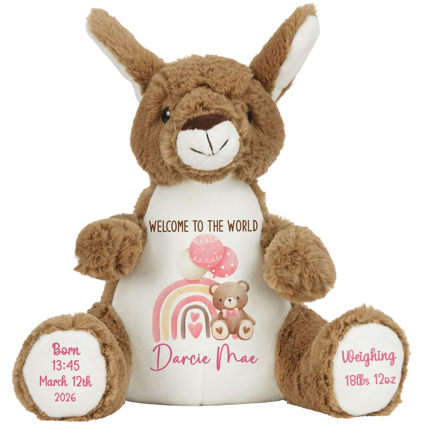 Pink Rainbow Bear Balloons New Baby Personalised Teddy Bear