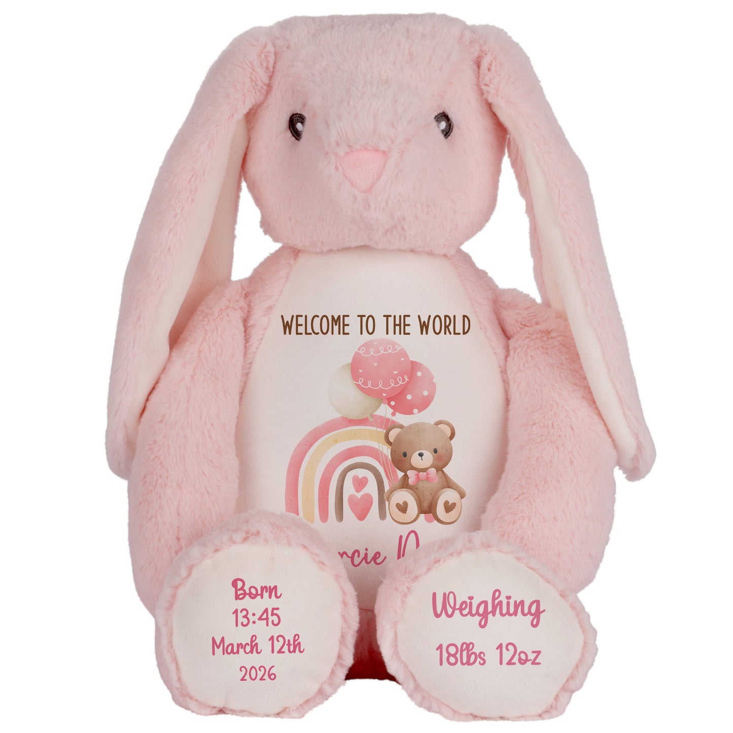 Pink Rainbow Bear Balloons New Baby Personalised Teddy Bear