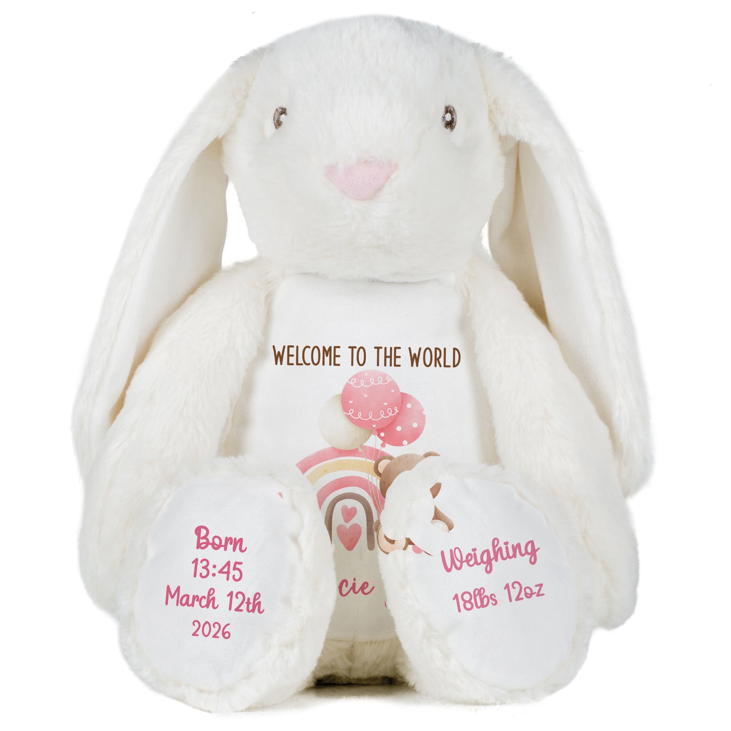 Pink Rainbow Bear Balloons New Baby Personalised Teddy Bear