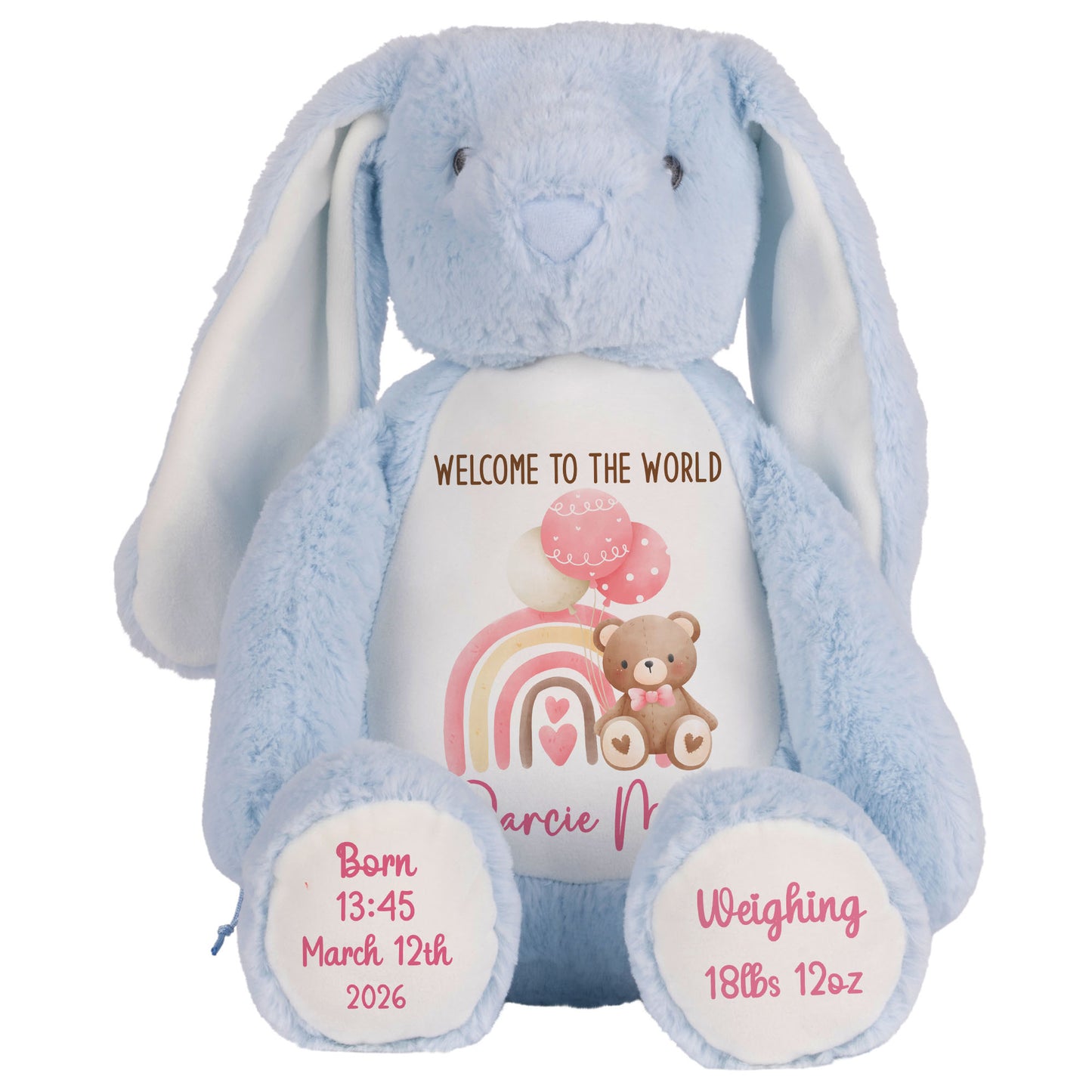 Pink Rainbow Bear Balloons New Baby Personalised Teddy Bear
