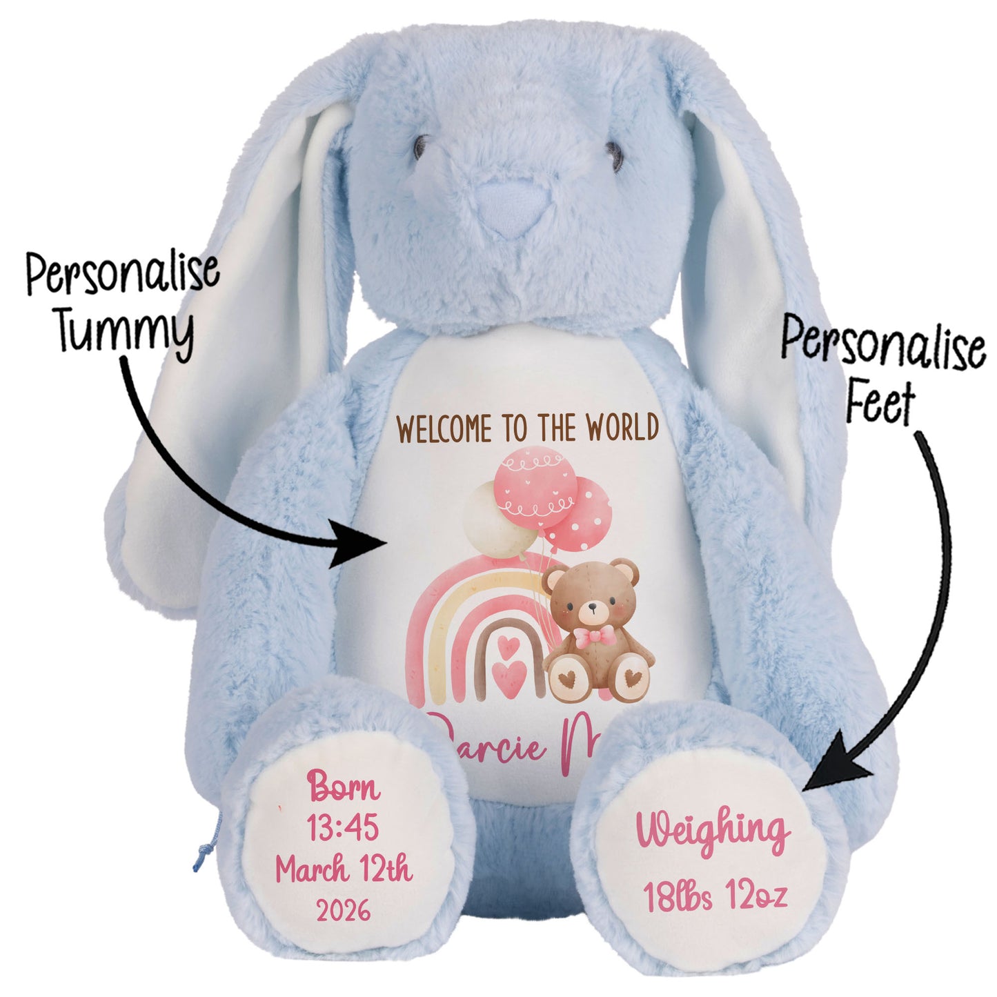 Pink Rainbow Bear Balloons New Baby Personalised Teddy Bear