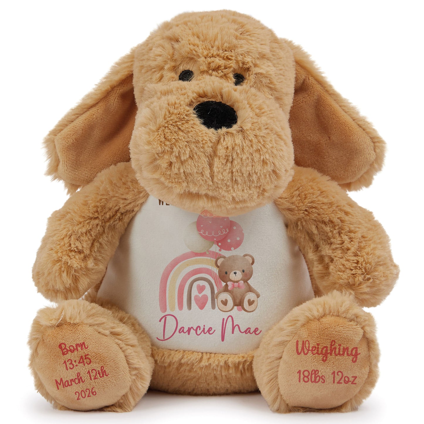Pink Rainbow Bear Balloons New Baby Personalised Teddy Bear